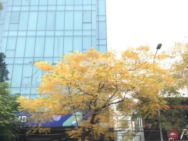 Cho thuê văn phòng hạng D | HT Building | 28 Xuân La