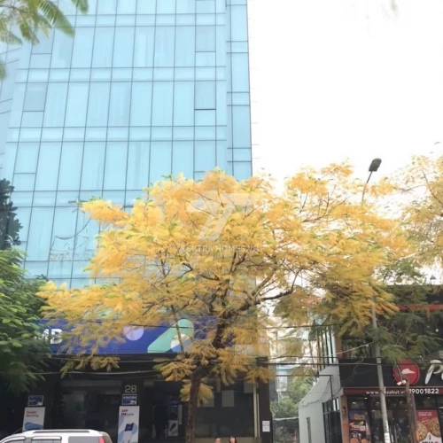 Cho thuê văn phòng HT building Xuân La