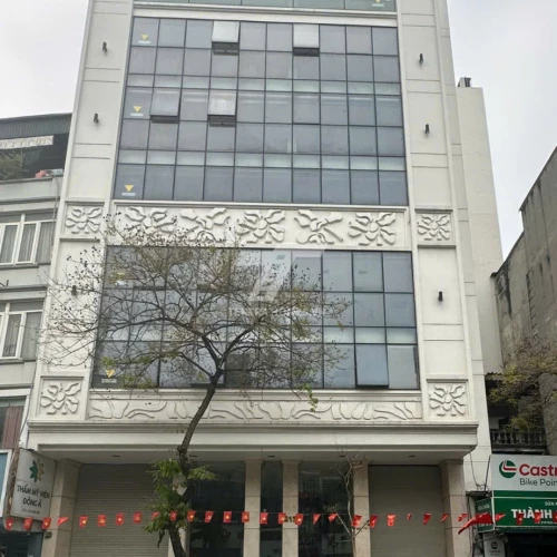 Cho thuê mbkd , văn phòng phố Kim Mã